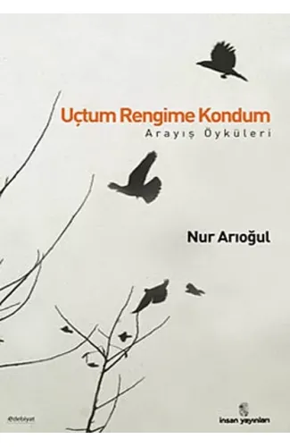 Uçtum Rengime Kondum  Arayış Öyküleri