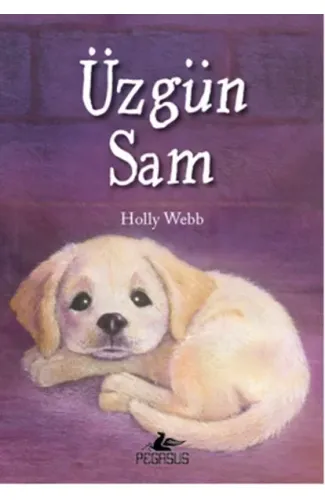 Üzgün Sam