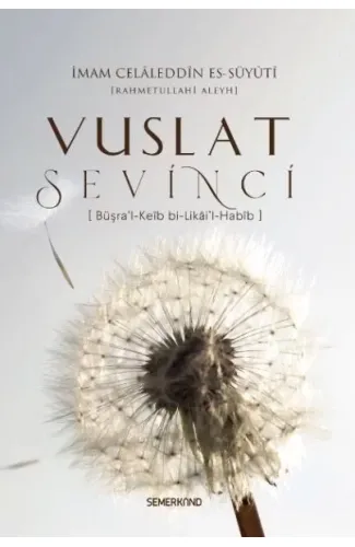 Vuslat Sevinci