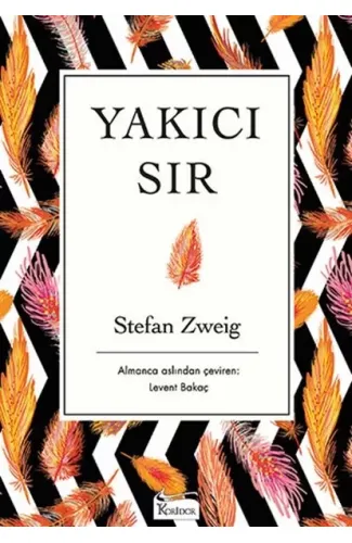 Yakıcı Sır (Bez Ciltli)