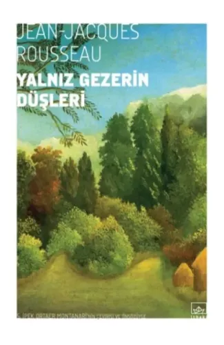 Yalnız Gezerin Düşleri