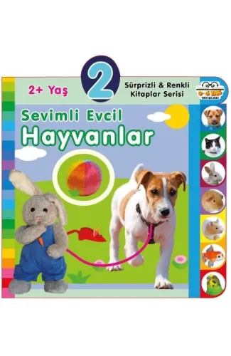 Yaş Sevimli Evcil Hayvanlar (2+Yaş)