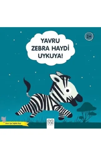 Yavru Zebra Haydi Uykuya! - Güzel Uyu Sağlıklı Büyü