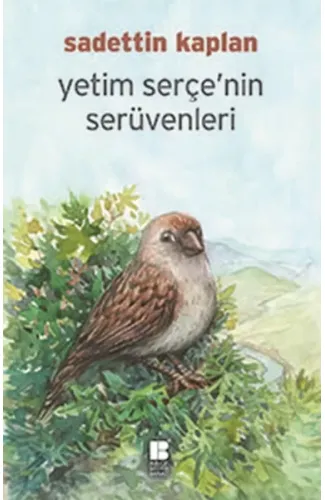 Yetim Serçe'nin Serüvenleri