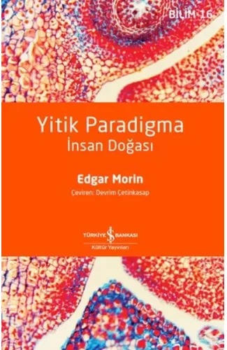 Yitik Paradigma: İnsan Doğası