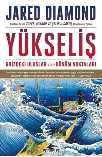 Yükseliş: Krizdeki Uluslar İçin Dönüm Noktaları - Ciltsiz