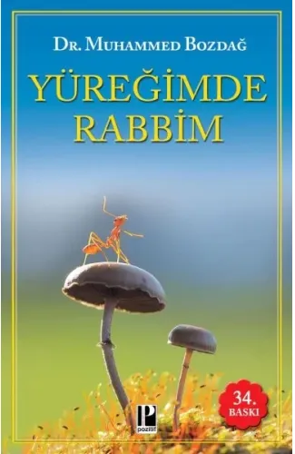 Yüreğimde Rabbim