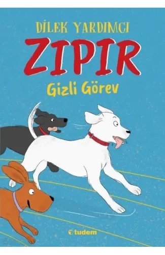 Zıpır Gizli Görev