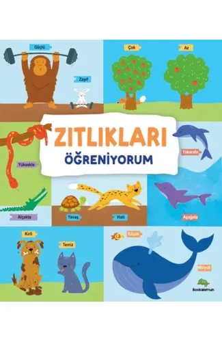 Zıtlıkları Öğreniyorum